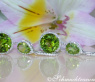 Stattliche Peridot Ohrgehänge mit Brillanten #3