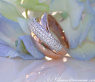 Überkreuzter Roségold Ring mit Diamanten #3