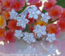 Exquisiter Brillanten Ring im Blüten Design #4