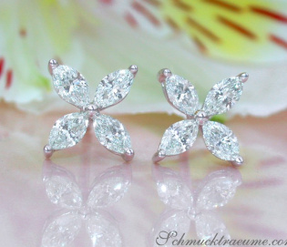 Feinste Marquise Diamanten Ohrstecker im Blüten / Stern Design