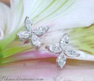 Feinste Marquise Diamanten Ohrstecker im Blüten / Stern Design