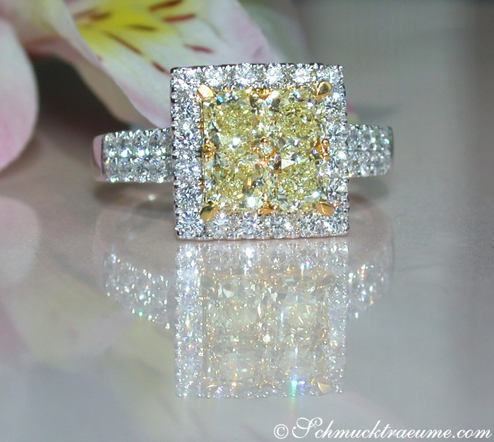 Klassischer gelber Diamanten-Ring mit Brillanten, detailreich, Weiß- & Gelbgold 750