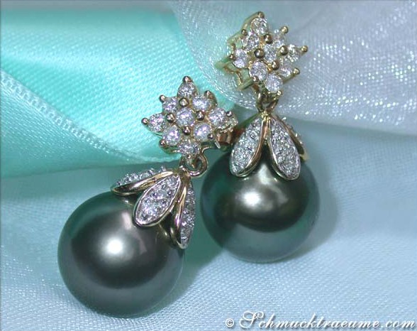 Goldene Tahitiperlen-Ohrringe mit Brillanten, detailreich, elegant, auf Silberband gelegt