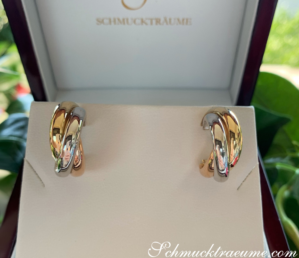 Gold Creolen in Gelb-, Weiß- und Roségold 585, elegant in Box, grüne Pflanzen im Hintergrund.