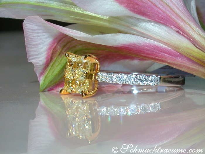 Gelber Diamant-Ring im Carré-Design mit Brillanten, Detailaufnahme, auf Blume liegend