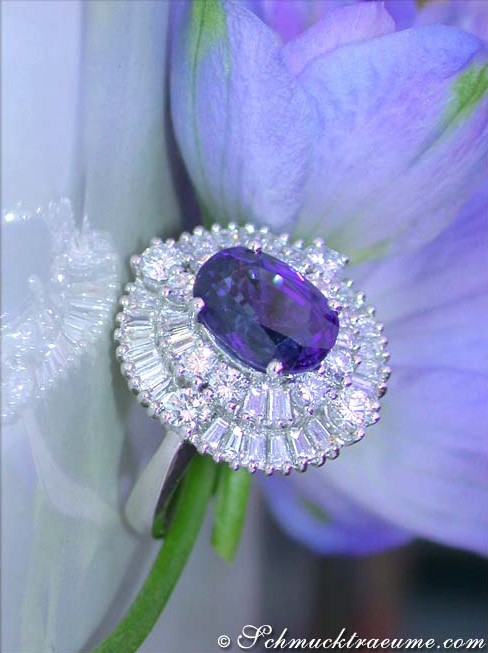 Lila Saphir-Ring mit Diamanten auf Blüte, Detailaufnahme