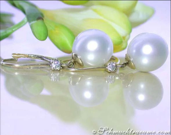 Detailansicht von Südseeperlen Ohrhänger in Gelbgold 585