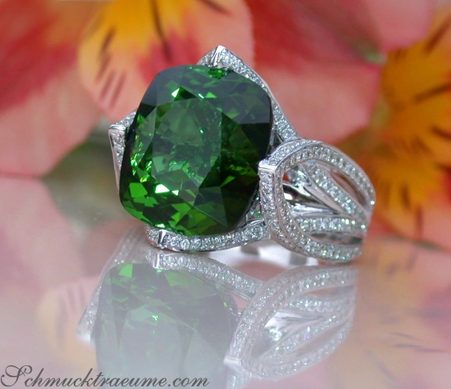 Turmalin-Ring in Weißgold mit Brillanten, prächtige Farbbrillanz, elegante Fassung, Blumenhintergrund. Turmalin-Ring in Weißgold mit Brillanten, prächtige Farbbrillanz, elegante Fassung, Blumenhintergrund.