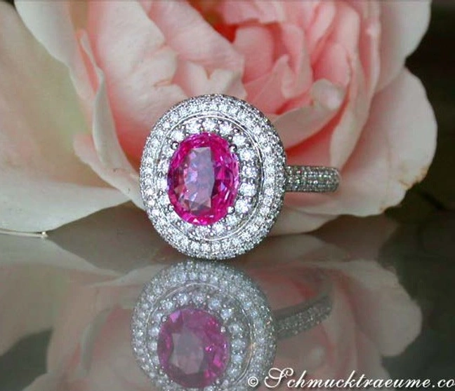 Pink Saphir-Ring mit Diamanten vor Rosenblüte Pink Saphir-Ring mit Diamanten vor Rosenblüte