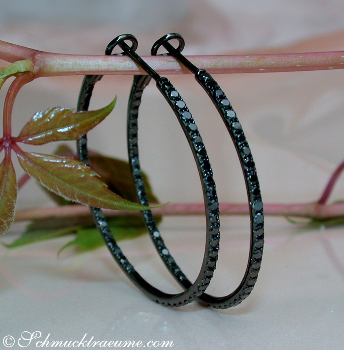 Schwarze Creolen mit Diamanten, Detailaufnahme, weißer Hintergrund, Pflanzen im Hintergrund