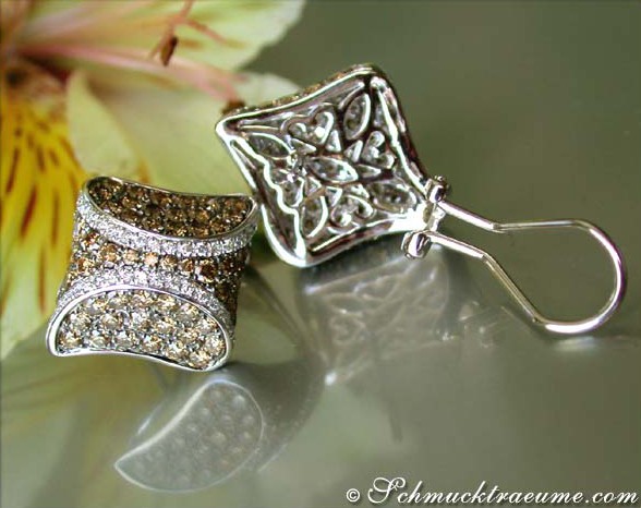 Weißgold 585 Ohrstecker mit naturbraunen und weißen Brillanten, Detailaufnahme.