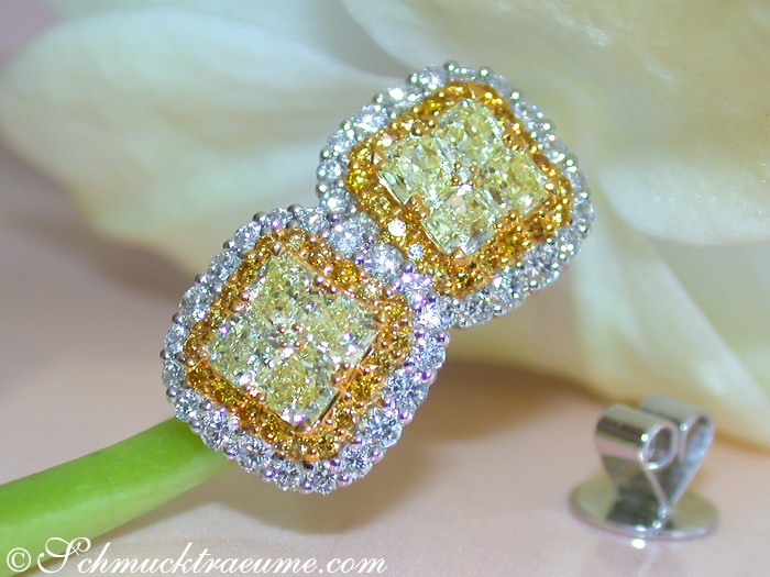 Detailansicht von gelben Radiant-Diamanten-Ohrringen mit weißem Goldrand