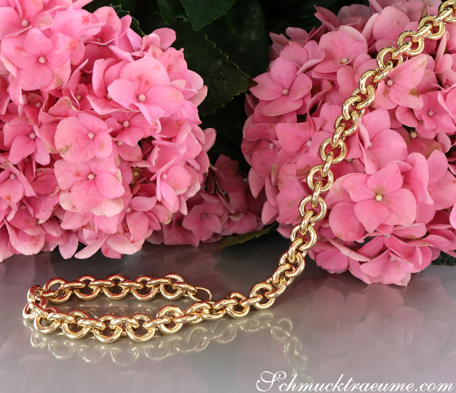 Goldene Gliederkette auf rosa Hortensienblüten