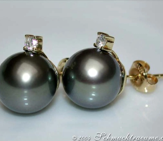 Goldene Tahitiperlen-Ohrringe mit Diamanten, Detailansicht, glänzende Perlen und Brillanten Goldene Tahitiperlen-Ohrringe mit Diamanten, Detailansicht, glänzende Perlen und Brillanten