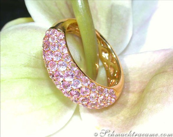 Goldener Pavéring mit rosa Saphiren auf Orchidee.