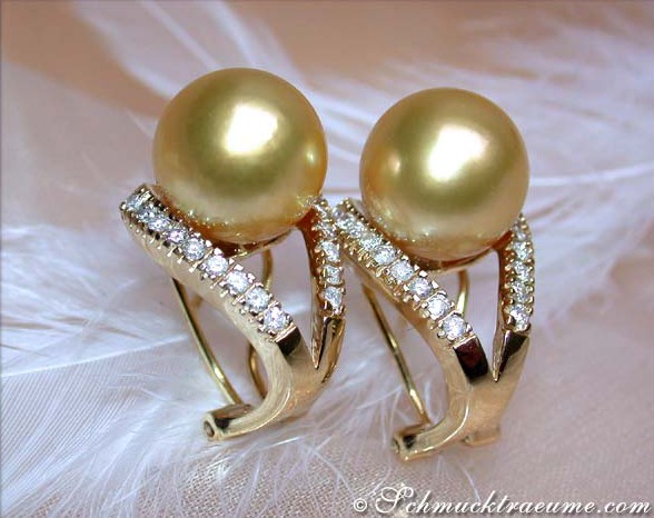 Goldene Südseeperlen Ohrstecker mit Brillanten, elegant und schimmernd, auf Federhintergrund.