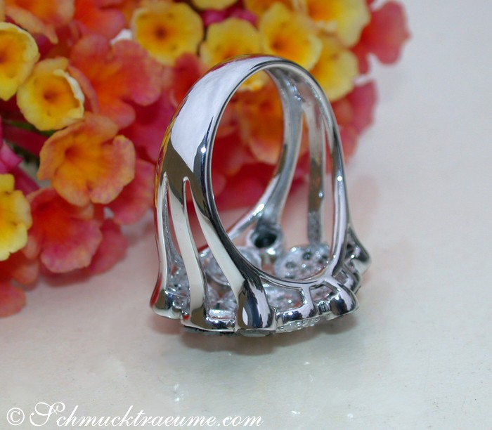 Schwarzer Diamant-Ring mit weißgoldener Krappenfassung, Blumen im Hintergrund.