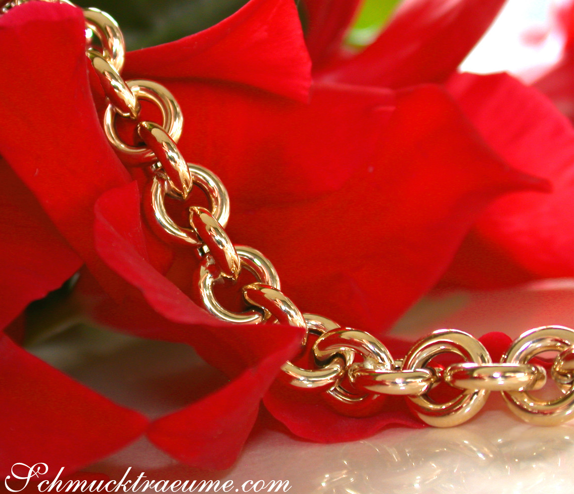 Goldarmband mit glänzenden Ringen auf rotem Blütenblatt