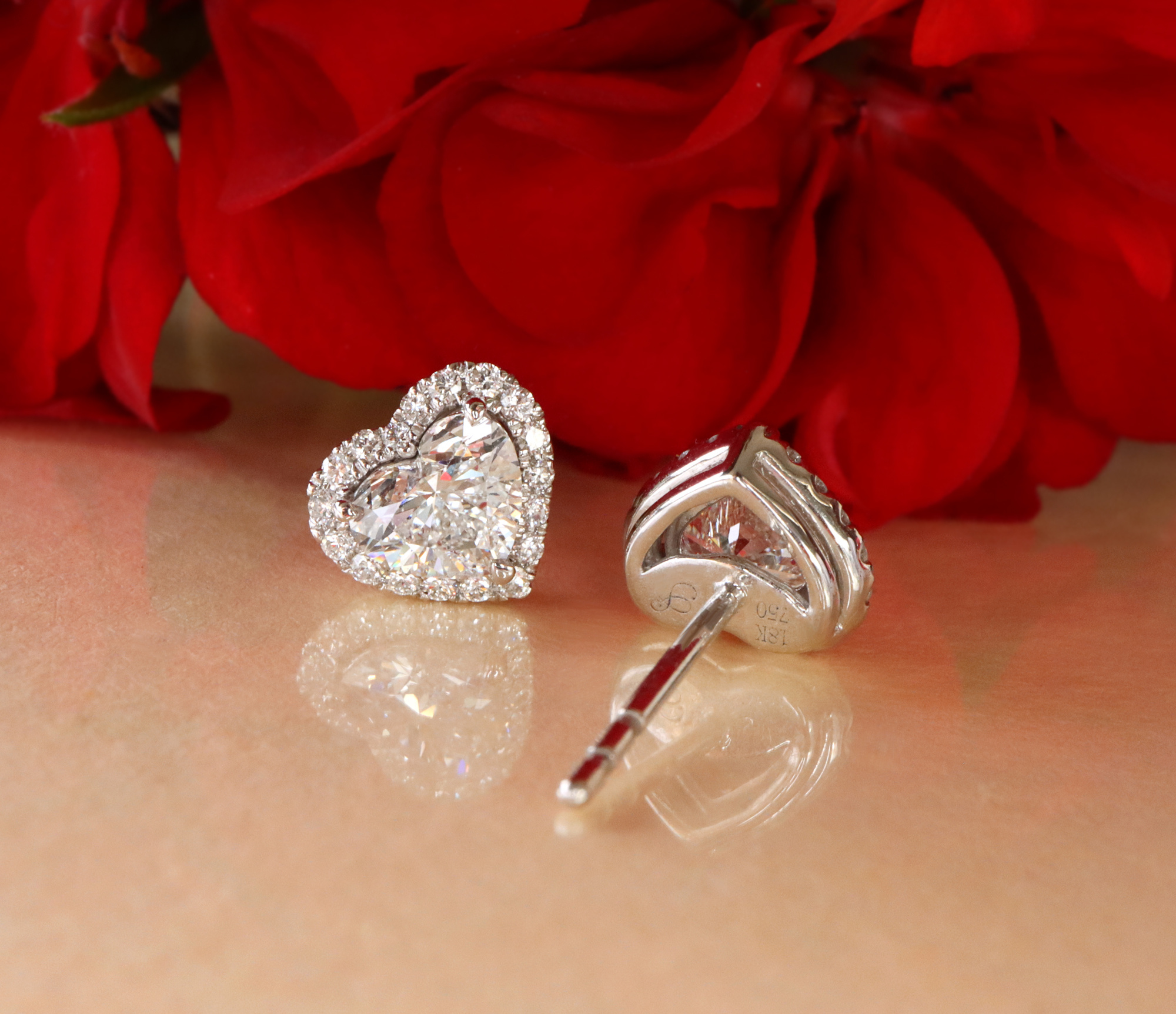 Herzformige Diamant-Ohrstecker mit Brillanten, weißgold 750, vor Rosenblättern.