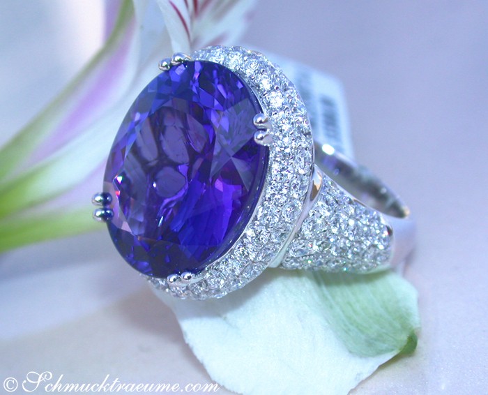 Weißgold-Ring mit ovalen Tansanit und Brillanten, Detailaufnahme, Blume im Hintergrund