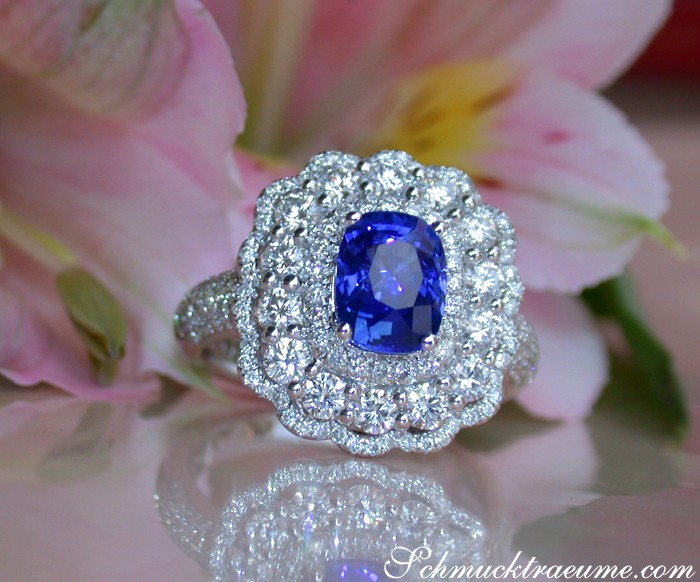 Weißgoldring mit Saphir und Diamanten, Detailaufnahme, floraler Hintergrund