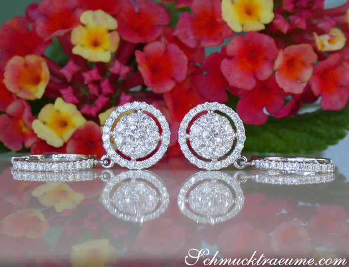 Weißgold 750 Diamant-Ohrringe mit Ringdetail vor Blumenhintergrund
