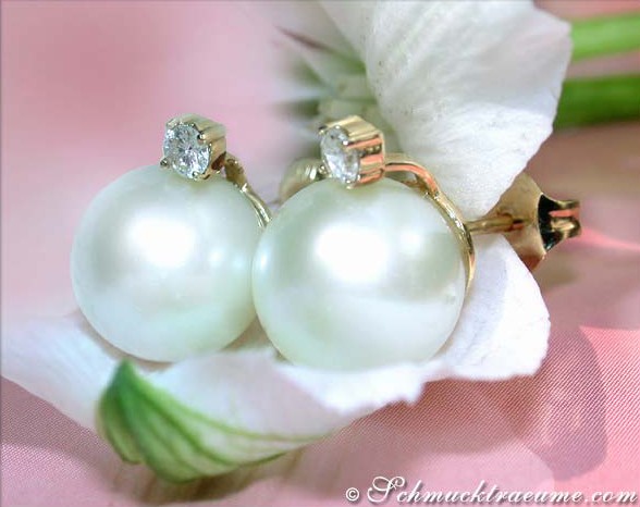 Zeitlos edle Südseeperlen Ohrstecker in Gelbgold 585 - Image 5