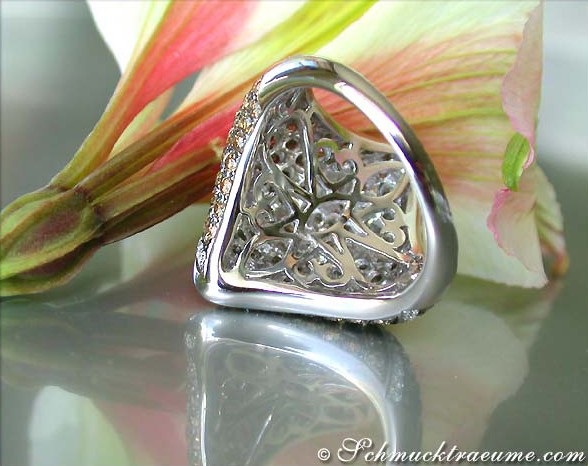 Silberner Ring mit natürlichen Brauntönen und weißen Steinen, Detailaufnahme mit Blume im Hintergrund