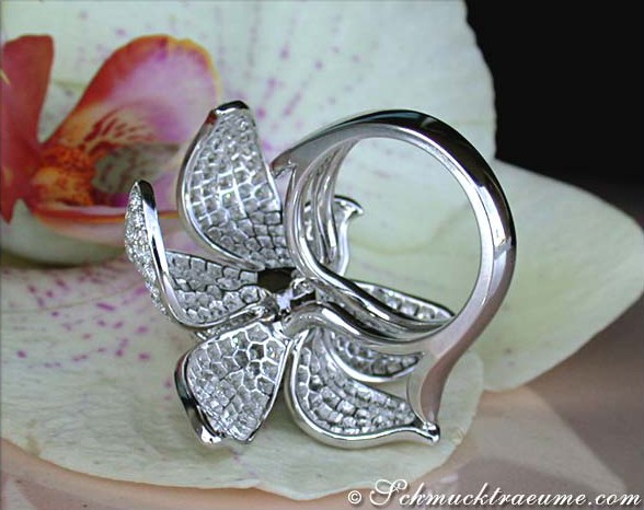Orchideen-Diamantring auf Blüte, Detailaufnahme, weißgold, exklusiv