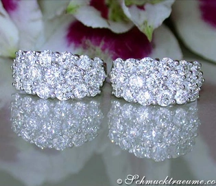 Weißgold 750 Ohrringe mit 38 Brillanten, Detailaufnahme, reflektierendes Hintergrundblütenmotiv