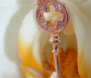Roségold Schlüsselanhänger mit Diamanten: zarter Chic in 750er Gold