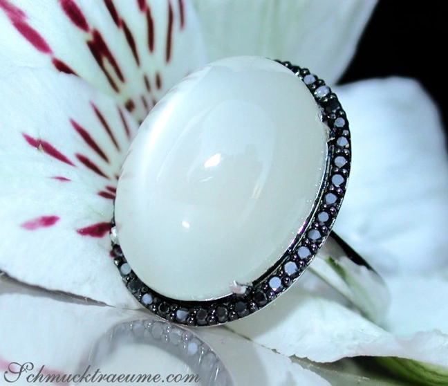 Mondstein-Ring mit schwarzen Diamanten auf Orchideenblüte Mondstein-Ring mit schwarzen Diamanten auf Orchideenblüte