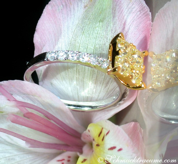 Gelber Diamant-Ring im Carré-Design auf Orchideenblüte, Detailaufnahme