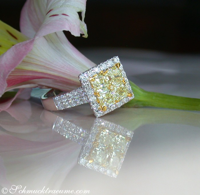 Klassischer gelber Diamant-Ring mit Brillanten, detailreich, auf Blüte präsentiert