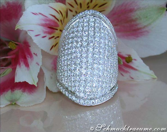 Weißgold-Ring mit 284 Brillanten, makellos, auf Blumenhintergrund