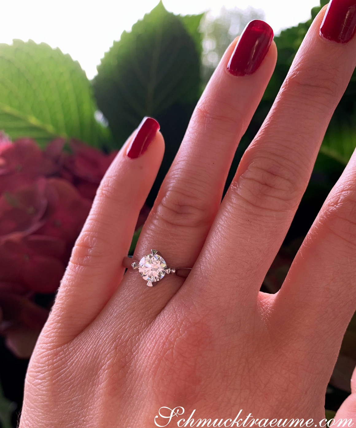 Hand mit roten Nagellack und Brillant Solitär-Ring (1 ct.), vor grünen Blättern