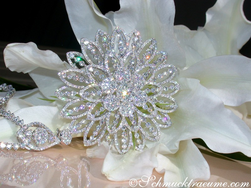 Blitzende Diamantblüte auf weißer Blume, Detailaufnahme