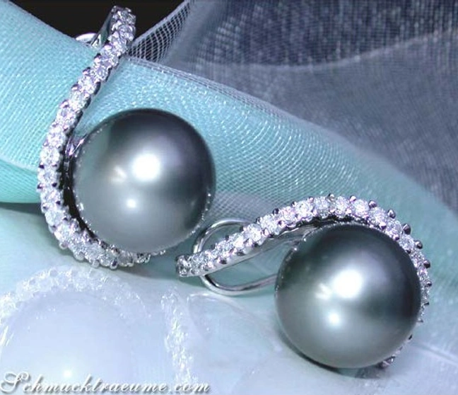 Schlichte Tahitiperlen-Ohrstecker mit Brillantenkranz in Weißgold Schlichte Tahitiperlen-Ohrstecker mit Brillantenkranz in Weißgold