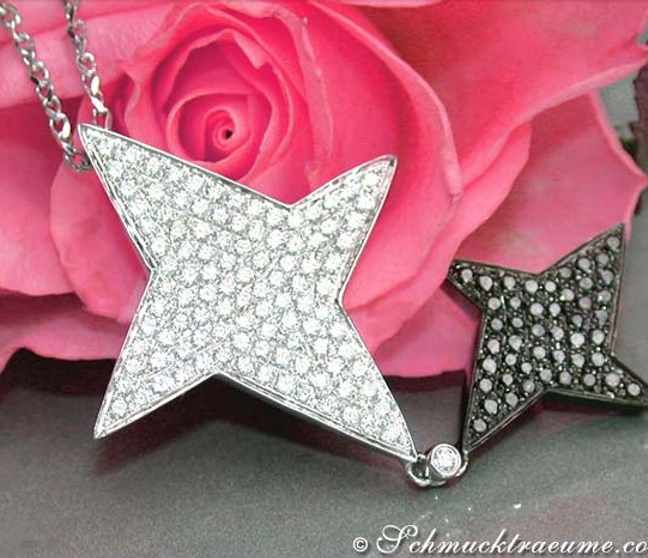 Silberner Sternanhänger mit schwarzen und weißen Diamanten, Rosen im Hintergrund Silberner Sternanhänger mit schwarzen und weißen Diamanten, Rosen im Hintergrund