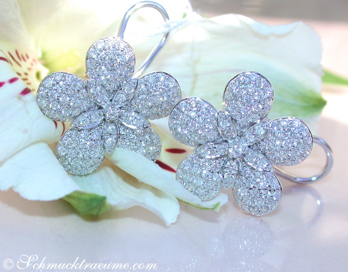 Diamant-Blumenohrringe in Weißgold 585, detailreich, elegant, auf Blüte abgestimmt