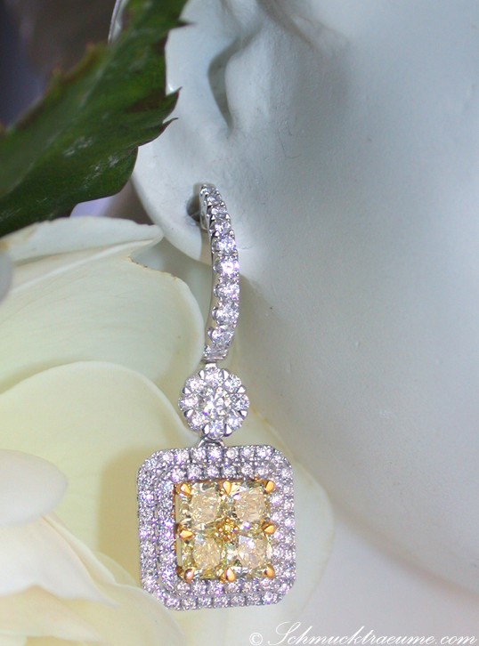 Gelber Diamant-Ohrhänger mit Brillanten, detailreich, auf weißer Blume.