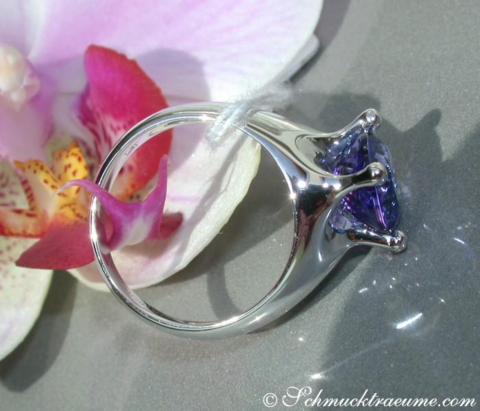 Weißgoldring mit Tansanit-Solitär, Detailaufnahme, Orchideenblüte im Hintergrund