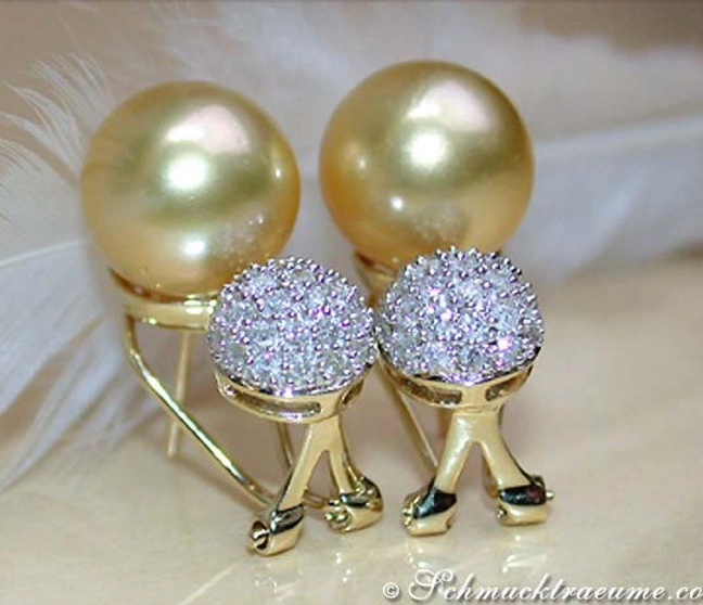 Goldene Südseeperlen Ohrstecker mit Brillanten Pavé Kugel auf weißem Hintergrund Goldene Südseeperlen Ohrstecker mit Brillanten Pavé Kugel auf weißem Hintergrund
