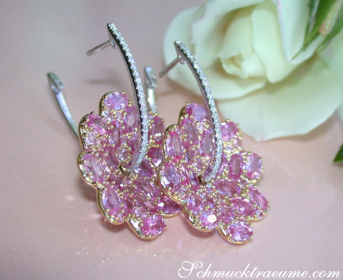 Prächtige rosa Saphir Ohrringe im Blüten Design, elegant auf weißem Hintergrund präsentiert
