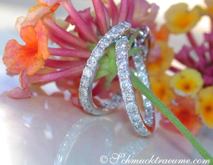 Schlichte Brillanten Creolen in Weißgold 585, Detailaufnahme, elegant auf Blütenblättern getragen