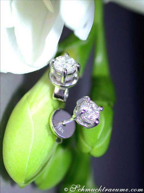 Detail der Brillant Solitär Ohrstecker in Weißgold, 0.50 ct., auf Blüte gestellt