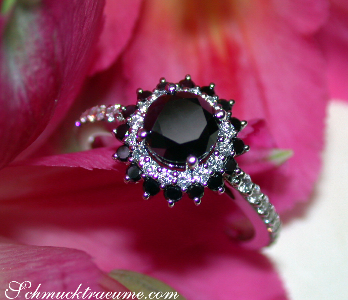 Schwarzer Diamant Solitär-Ring mit Diamantbesatz, detailreich, auf Rosenblüte getragen