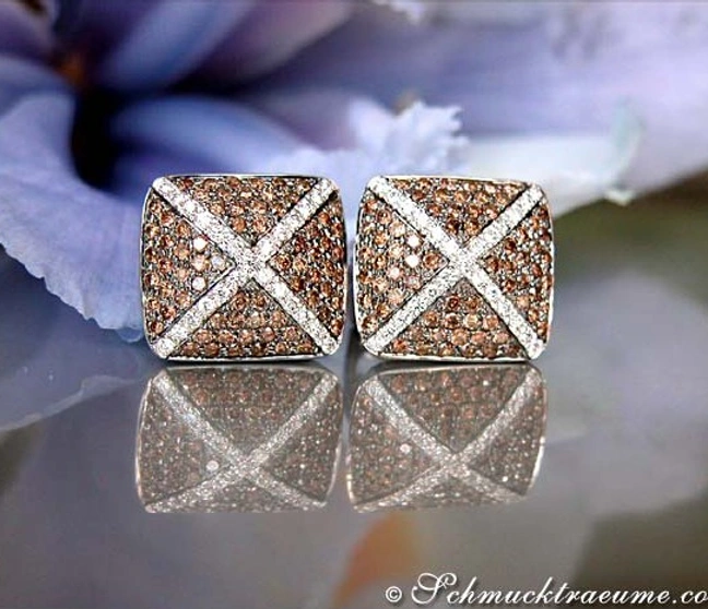 Weißgold-Ohrstecker mit braunen und weißen Brillanten, detailreich, auf glänzender Oberfläche, Blütenhintergrund. Weißgold-Ohrstecker mit braunen und weißen Brillanten, detailreich, auf glänzender Oberfläche, Blütenhintergrund.