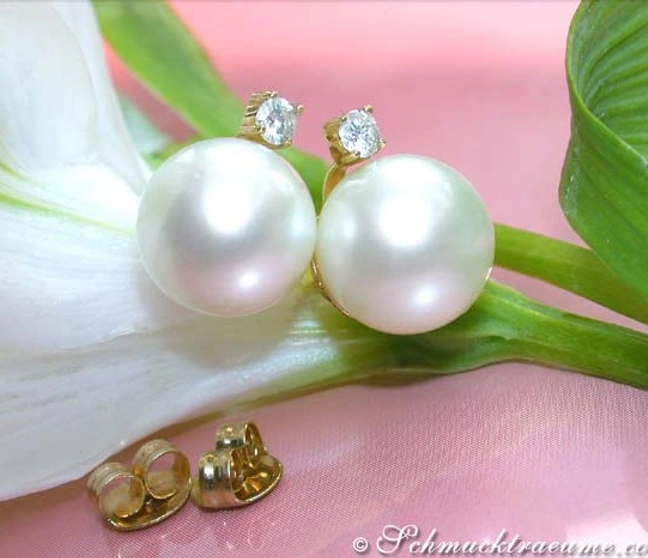 Zeitlos edle Südseeperlen Ohrstecker in Gelbgold 585 - Image 1 Zeitlos edle Südseeperlen Ohrstecker in Gelbgold 585 - Image 1
