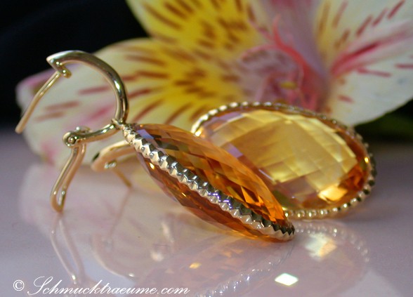 Goldene Citrin-Ohrhänger vor Blüte, Detailaufnahme mit klaren Linien und Farbbrillanz